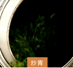 炒青.png