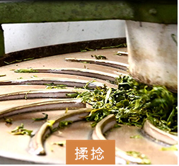 揉捻.png