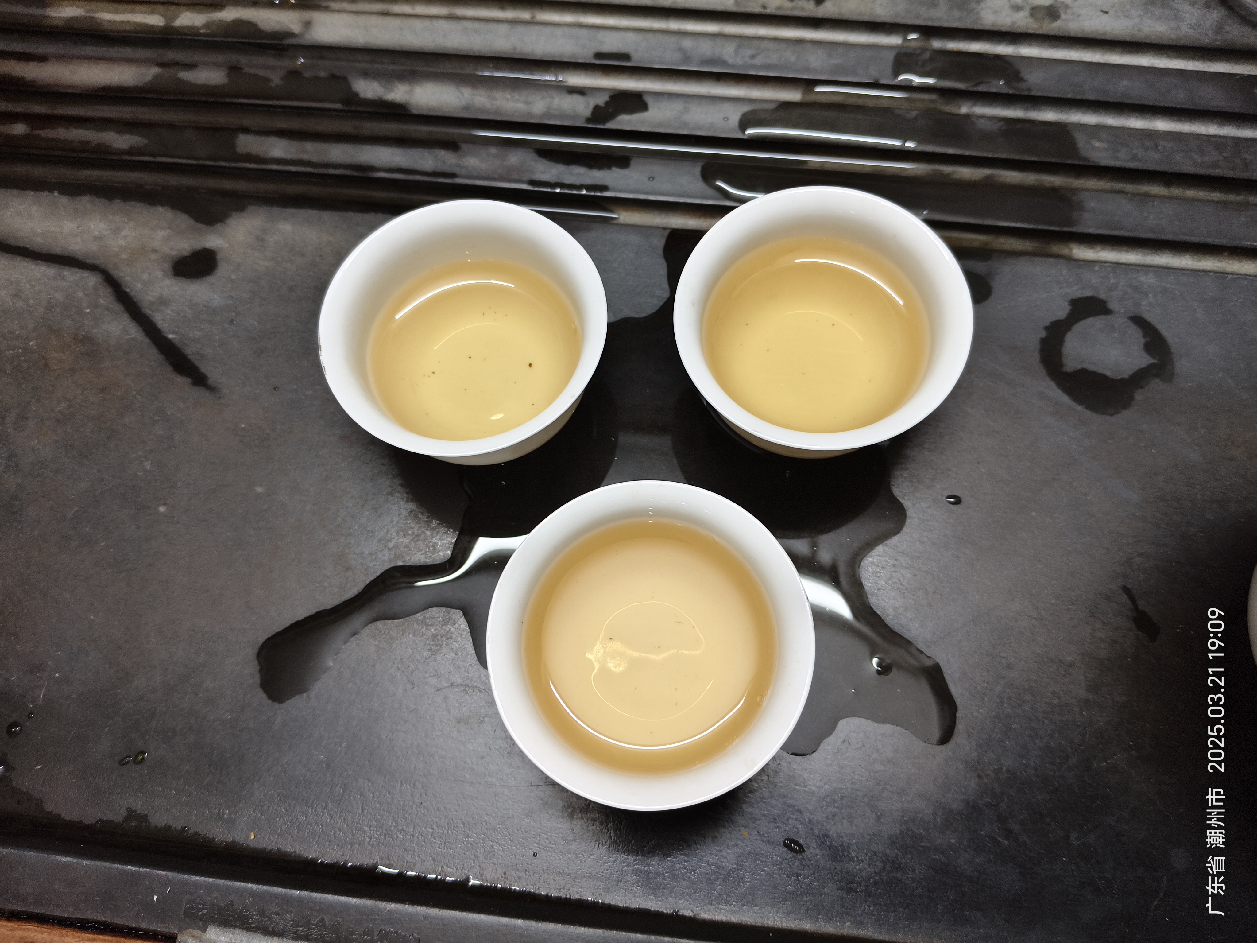 蜜兰香成品新茶试喝.jpg